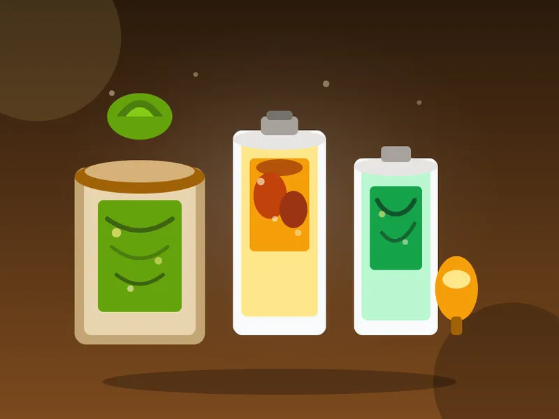 Fermentation Food Preservation